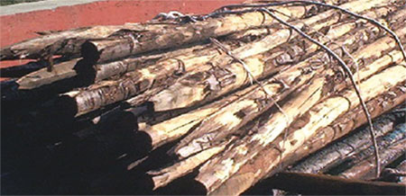 Palo in legno con trattamento Chromolit-CCB (CCO) - prodotto CMC Pali